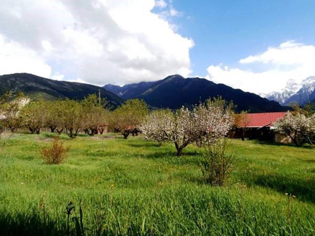 Villa Rustica Konitsa Exterior photo