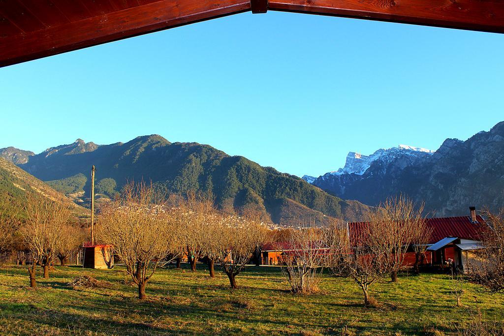 Villa Rustica Konitsa Exterior photo